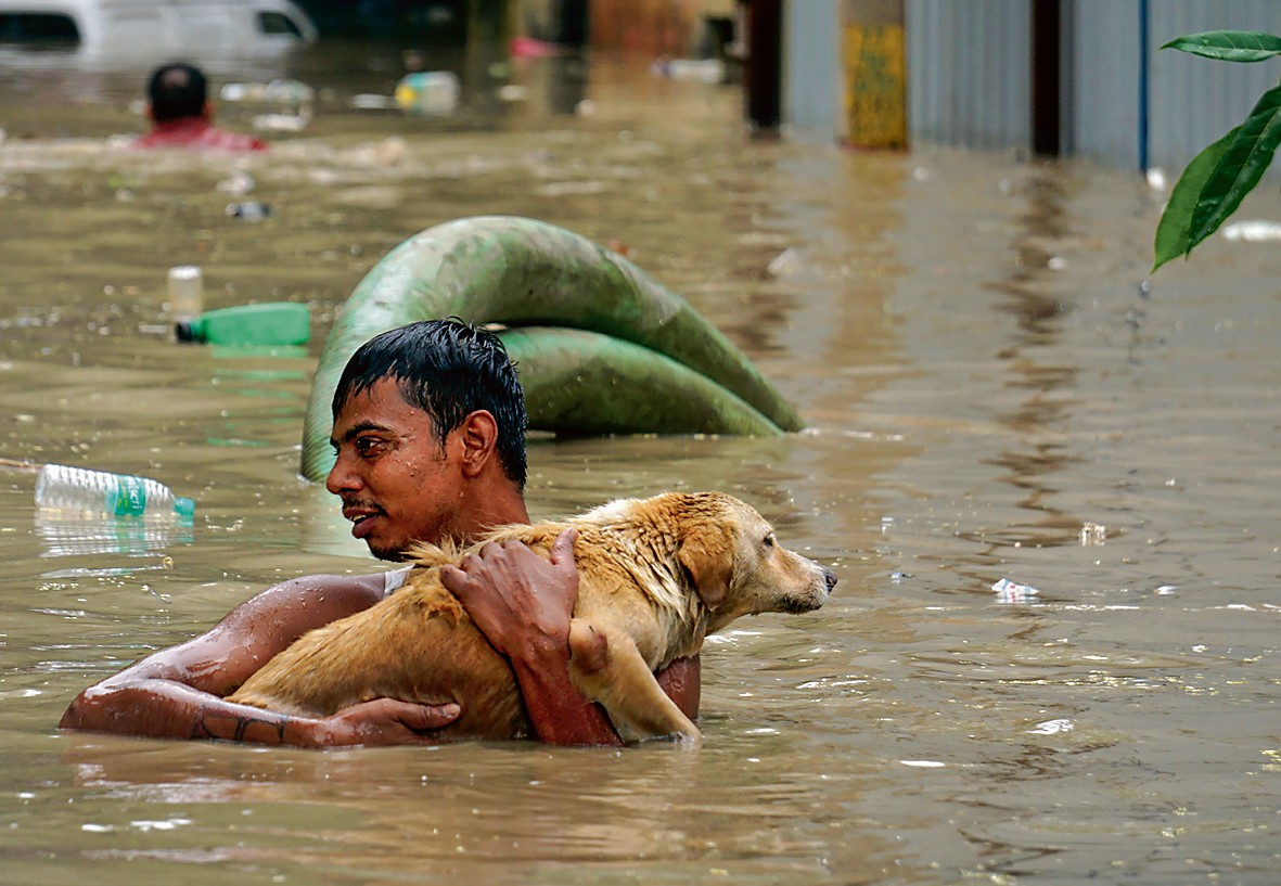 ਹੜ੍ਹ ਦੇ ਪਾਣੀ ਵਿੱਚ ਫਸੇ ਕੁੱਤੇ ਨੂੰ ਸੁਰੱਖਿਅਤ ਬਾਹਰ ਕੱਢਦਾ ਹੋਇਆ ਨੌਜਵਾਨ। -ਫੋਟੋਆਂ: ਪੀਟੀਆਈ,ਏਐੱਨਆਈ, ਰਾਇਟਰਜ਼