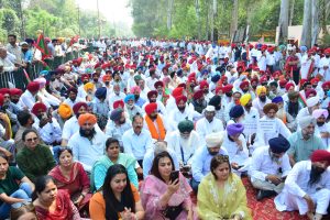 ਧਰਨੇ ਵਿਚ ਸ਼ਾਮਲ ਵੱਡੀ ਗਿਣਤੀ ਲੋਕ।