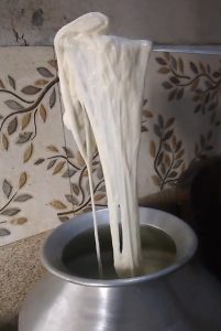 ਉਬਲਣ ਮਗਰੋਂ ਪਲਾਸਟਿਕ ਵਰਗਾ ਗਾੜ੍ਹਾ ਹੋਇਆ ਦੁੱਧ।