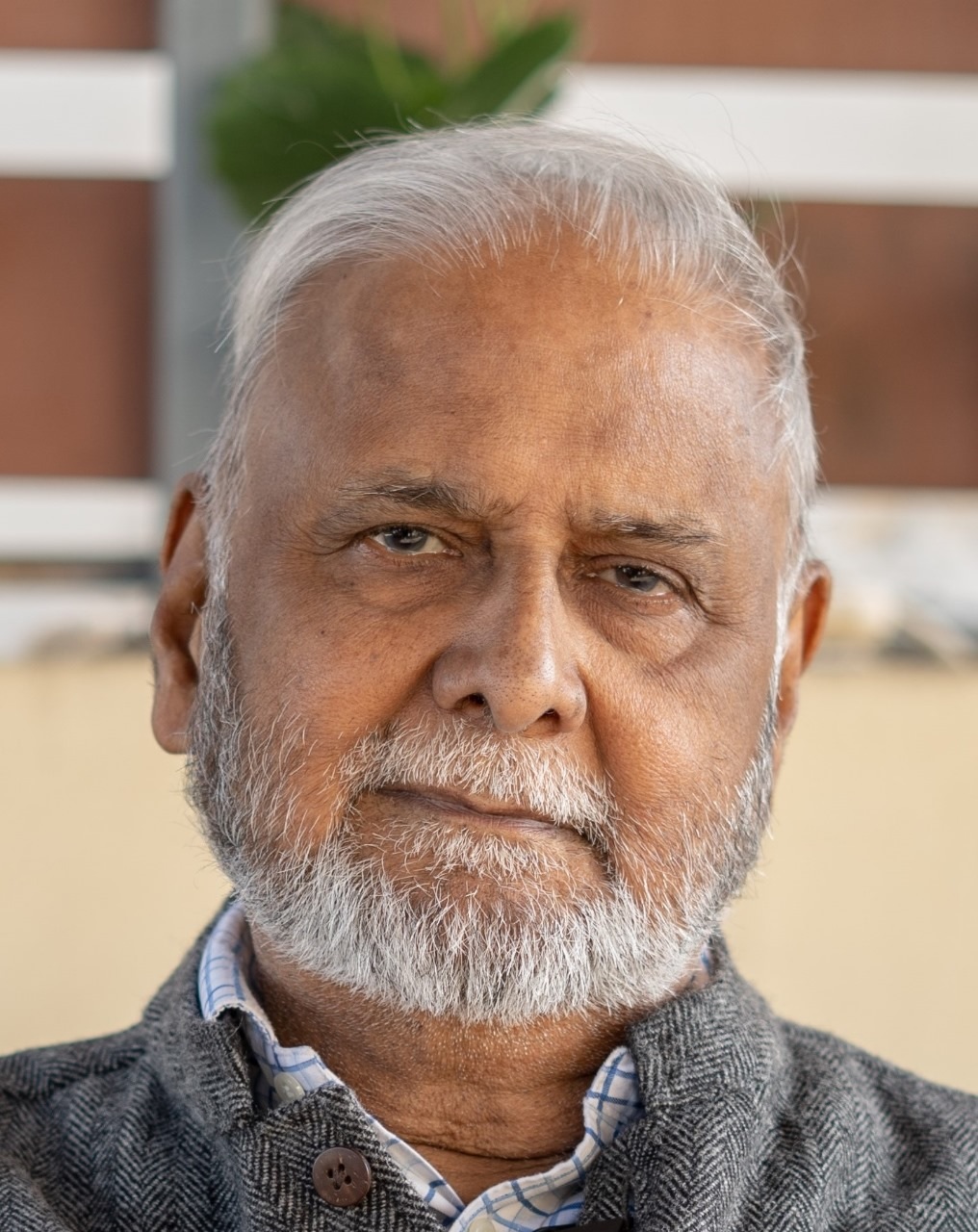author-image