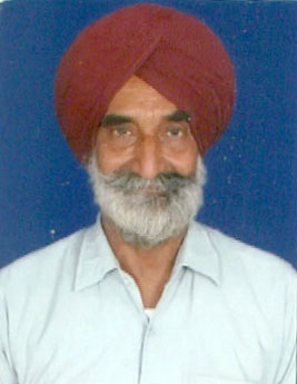 author-image