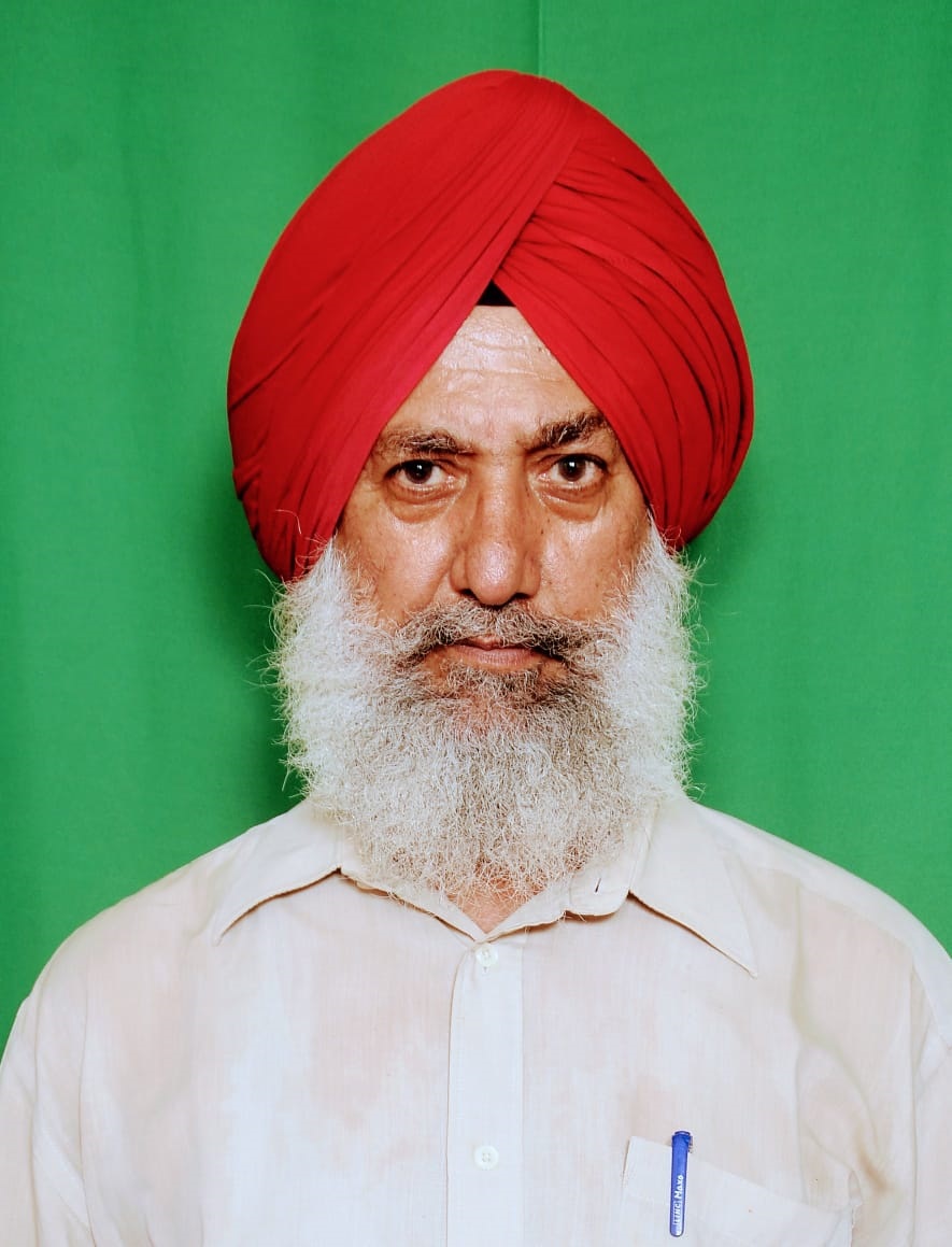 author-image