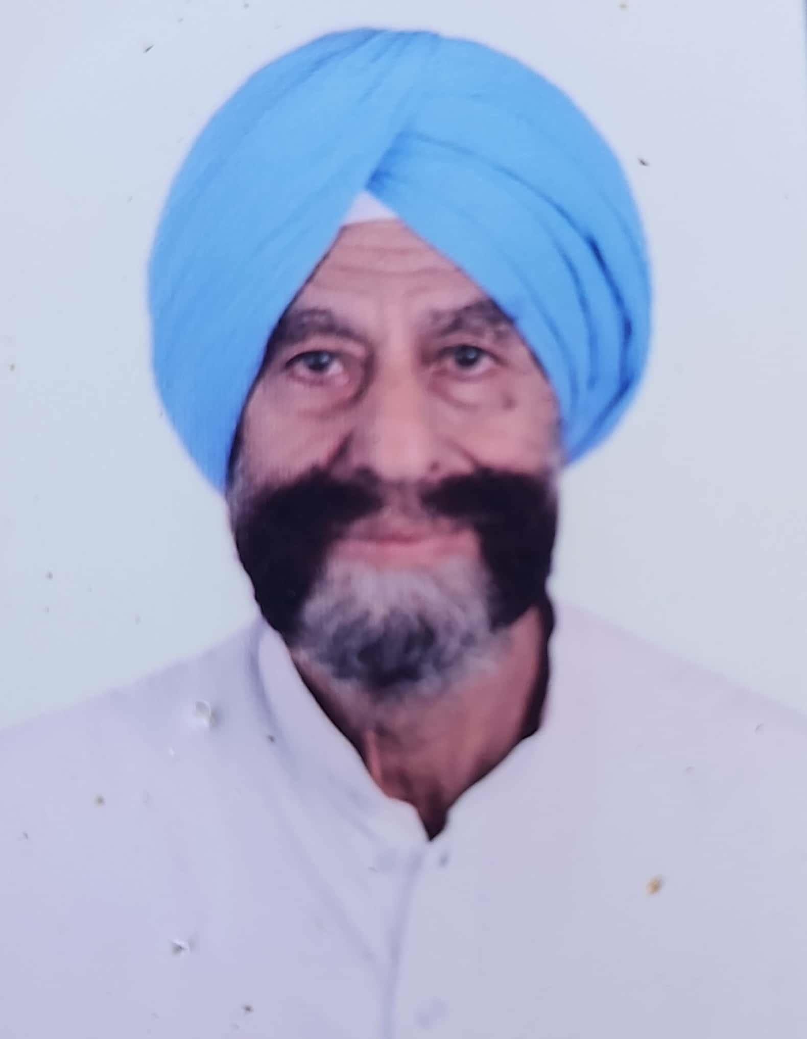 author-image