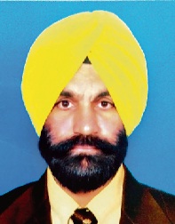 author-image