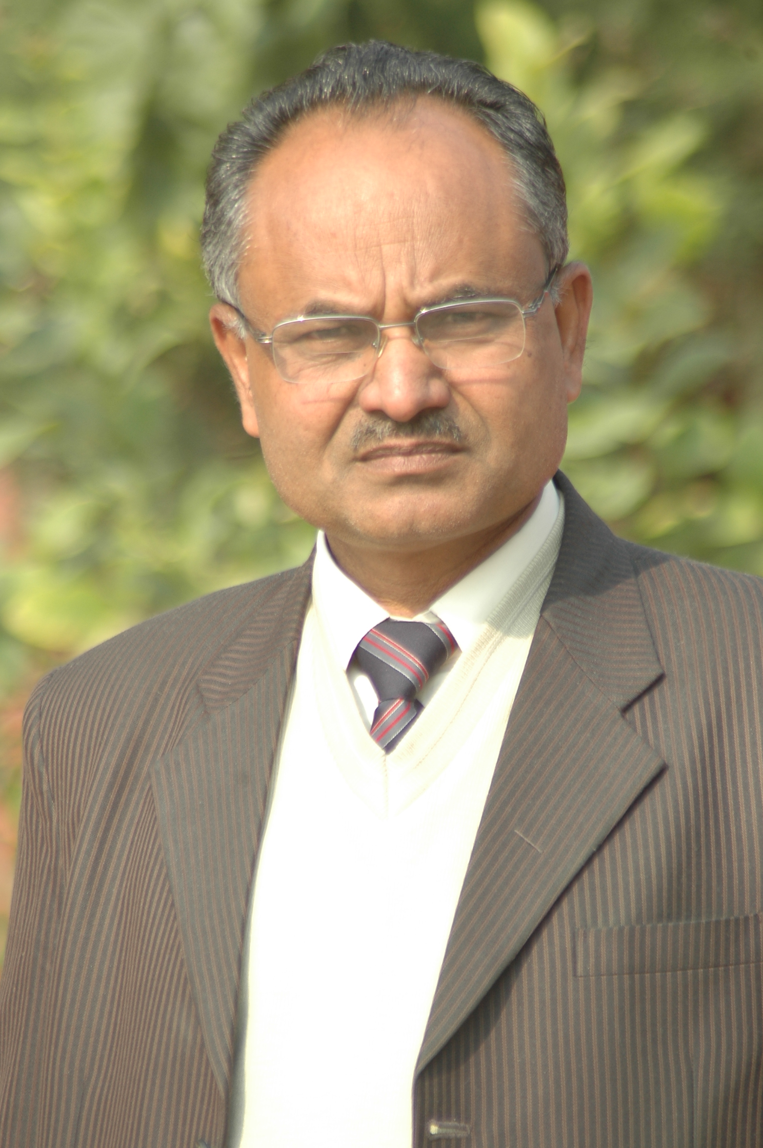 author-image