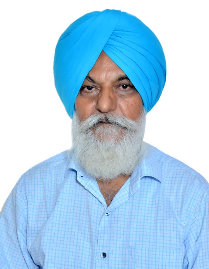 author-image